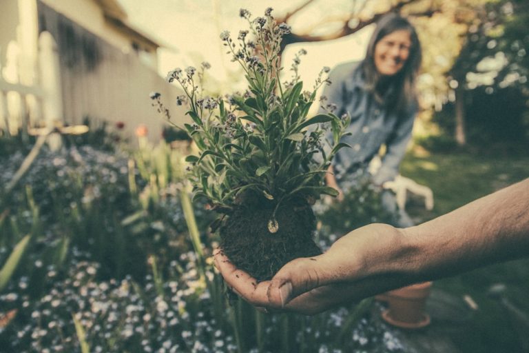 Umweltfreundliche Rand- und Begrenzungsinstallationen: Nachhaltigkeit im Garten