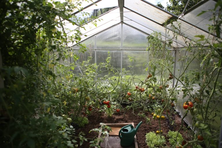 Gartengestaltung und Planung: Kreative Ideen für Ihr grünes Paradies